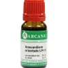 Arcana A-Anacardium Orientale LM 6 Dilution, 10 ml