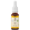 Lemon Pharma Bachblütentropfen-Bachblüte No.24 Pine Bio, 20 ml