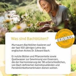 Murnauers Bachblütenglobuli-Bachblüten Murnauer Original Globulini n.Dr. Bach, 10 g