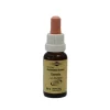 Murnauers Bachblütentropfen-Bachblüten Murnauer Tropfen Clematis, 20 ml