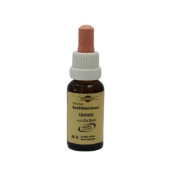 Murnauers Bachblütentropfen-Bachblüten Murnauer Tropfen Clematis, 20 ml