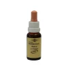 Murnauers Bachblütentropfen-Bachblüten Murnauer Tropfen Walnut, 20 ml