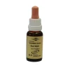 Murnauers Bachblütentropfen-Bachblüten Murnauer Tropfen Rock Water, 20 ml