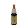 Murnauers Bachblütentropfen-Bachblüten Murnauer Tropfen Chestnut Bud, 20 ml