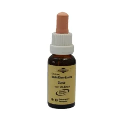 Murnauers Bachblütentropfen-Bachblüten Murnauer Tropfen Gorse, 20 ml
