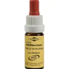 Murnauers Bachblütentropfen-Bachblüten Murnauer Tropfen Star of Bethlehem, 20 ml