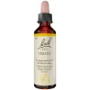Original Bachblüten Bachblütentropfen-Bachblüten Nr. 5 Cerato Tropfen, 20 ml