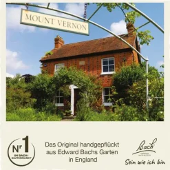 Original Bachblüten Bachblütentropfen-Bachblüten Nr. 6 Cherry Plum Tropfen, 20 ml