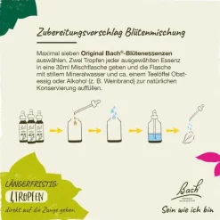 Original Bachblüten Bachblütentropfen-Bachblüten Nr. 6 Cherry Plum Tropfen, 20 ml