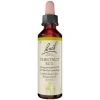 Original Bachblüten Bachblütentropfen-Bachblüten Nr. 7 Chestnut Bud Tropfen, 20 ml