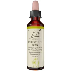 Original Bachblüten Bachblütentropfen-Bachblüten Nr. 7 Chestnut Bud Tropfen, 20 ml