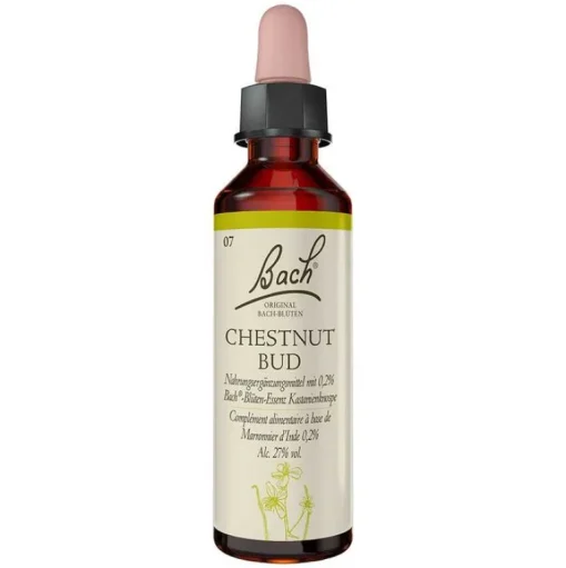 Original Bachblüten Bachblütentropfen-Bachblüten Nr. 7 Chestnut Bud Tropfen, 20 ml