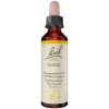 Original Bachblüten Bachblütentropfen-Bachblüten Nr. 13 Gorse Tropfen, 20 ml