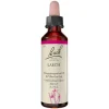 Original Bachblüten Bachblütentropfen-Bachblüten Nr. 19 Larch Tropfen, 20 ml