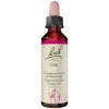 Original Bachblüten Bachblütentropfen-Bachblüten Nr. 22 Oak Tropfen, 20 ml