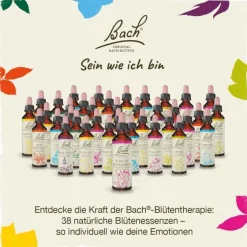Original Bachblüten Bachblütentropfen-Bachblüten Nr. 30 Sweet Chestnut Tropfen, 20 ml