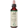 Original Bachblüten Bachblütentropfen-Bachblüten Nr. 33 Walnut Tropfen, 20 ml