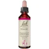Original Bachblüten Bachblütentropfen-Bachblüten Nr. 38 Willow Tropfen, 20 ml