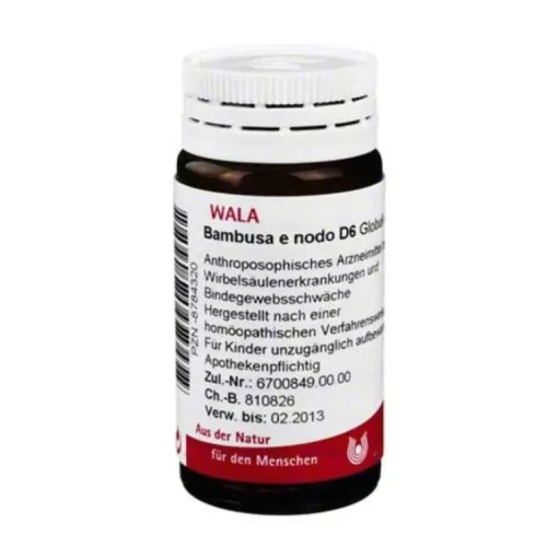 Haut-Bambusa E Nodo D 6 Globuli, 20 g