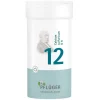 Pflüger Salze 1-12|D 6-Biochemie 12 Calcium sulfuricum D 6 Pulver, 100 g