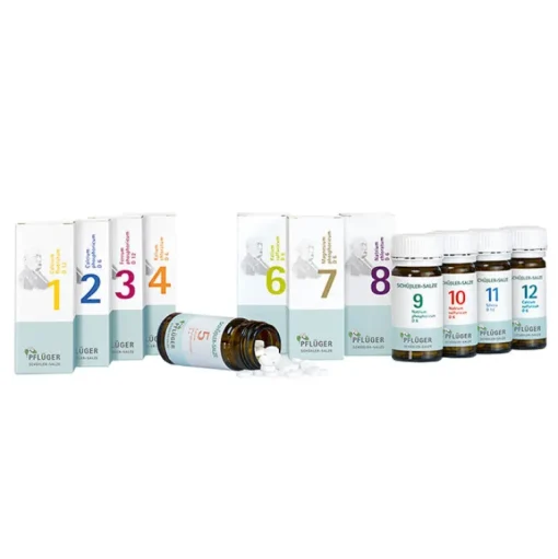 Pflüger Sets|Für Unterwegs-Biochemische Haus / Reiseapotheke Tabletten, 1 St
