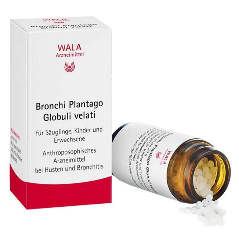 Kinder Wala Kinder & Säuglinge-Bronchi Plantago Globuli velati, 20 g