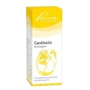 Similiaplex Pascoe-Cantharis Tropfe, 50 ml