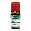 Arcana C-Carbo vegetabilis LM 6 Dilution, 10 ml