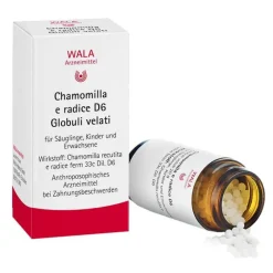 Kinder Kinder & Säuglinge-Chamomilla E Radix D 6 Globuli, 20 g