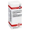 A-DHU Acidum carbolicum C 30 Globuli, 10 g