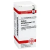 A|A-DHU Acidum phosphoricum C 12 Globuli, 10 g