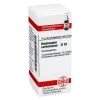 A|A-DHU Ammonium carbonicum D 10 Globuli, 10 g