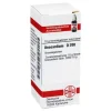 A-DHU Anacardium D 200 Globuli, 10 g