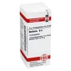 DHU B|B-Berberis D 4 Globuli, 10 g