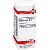 C-DHU Castor equi D 12 Globuli, 10 g