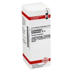 DHU C-Caulophyllum thalictroides D 6 Dilution, 20 ml
