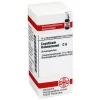 C|C-DHU causticum Hahnemanni C 6 Globuli, 10 g