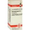C|C-DHU Cholesterinum D 4 Globuli, 10 g