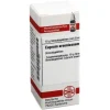 C|C-DHU Cuprum arsenicosum D 12 Globuli, 10 g