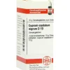 C-DHU Cuprum Oxyd nigrum D 10 Globuli, 10 g