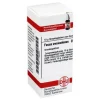 F|F-DHU Fucus vesiculosus D 3 Globuli, 10 g