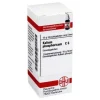 K|K-DHU Kalium phosphoricum C 6 Globuli, 10 g
