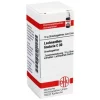 L|L-DHU Lachnanthes tinctoria C 30 Globuli, 10 g