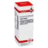 L-DHU Ledum Extern Tinktur, 20 ml