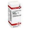 N|N-DHU Natrium sulfuricum C 6 Globuli, 10 g
