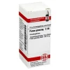 P|P-DHU Panax Ginseng C 30 Globuli, 10 g