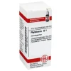 DHU P|P-Phytolacca D 1 Globuli, 10 g