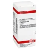 DHU P-Phytolacca D 6 Tabletten, 80 St