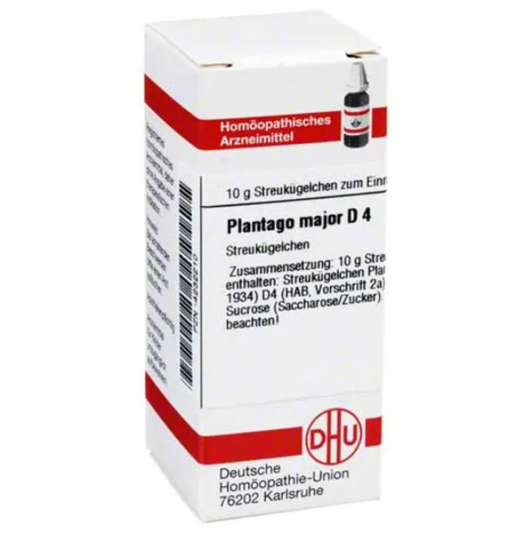 P|P-DHU Plantago Major D 4 Globuli, 10 g