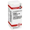 P|P-DHU Platinum metallicum C 30 Globuli, 10 g